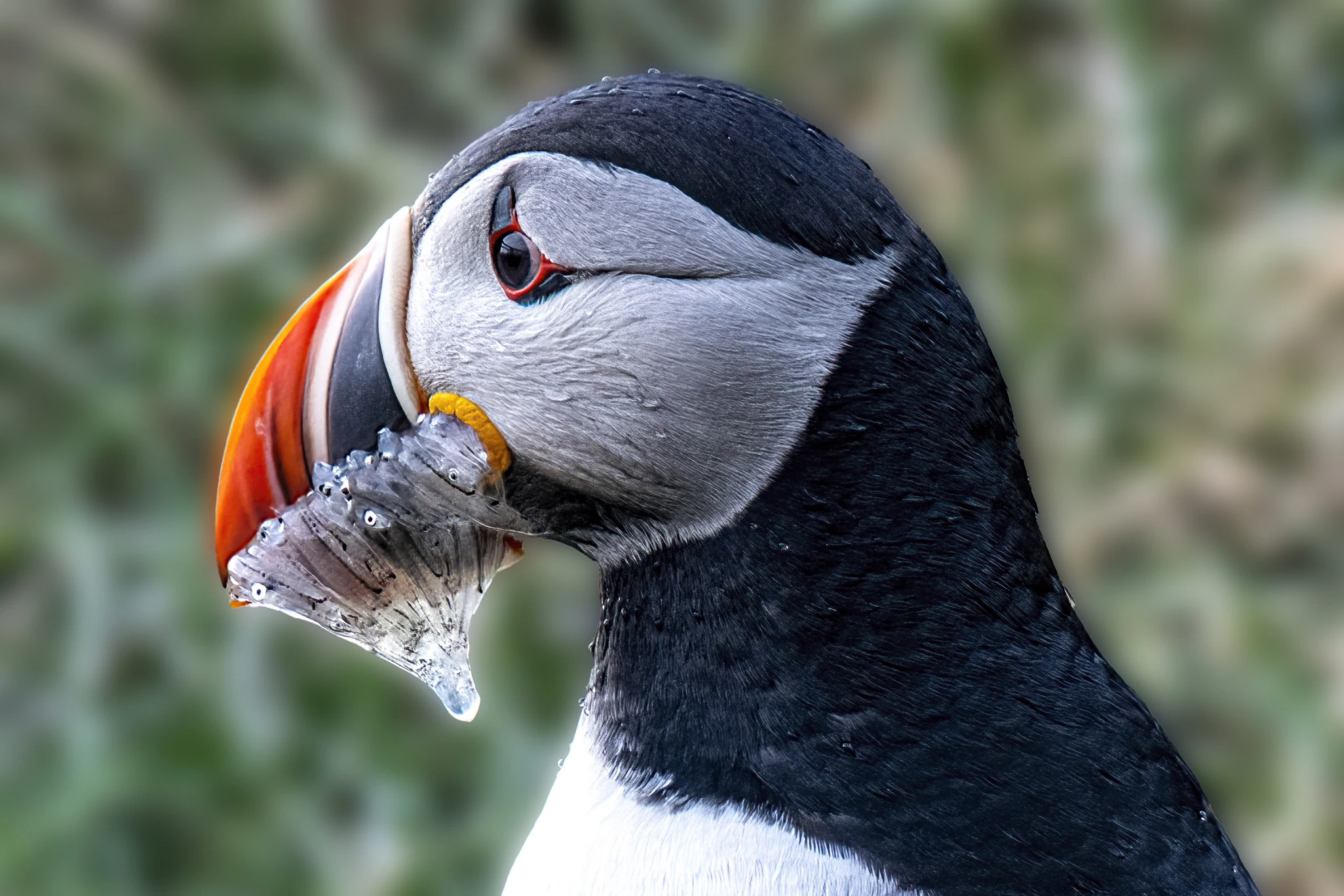 More supplies, Iceland 2023 – photo by Reiner Boehme