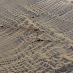 Patterns I