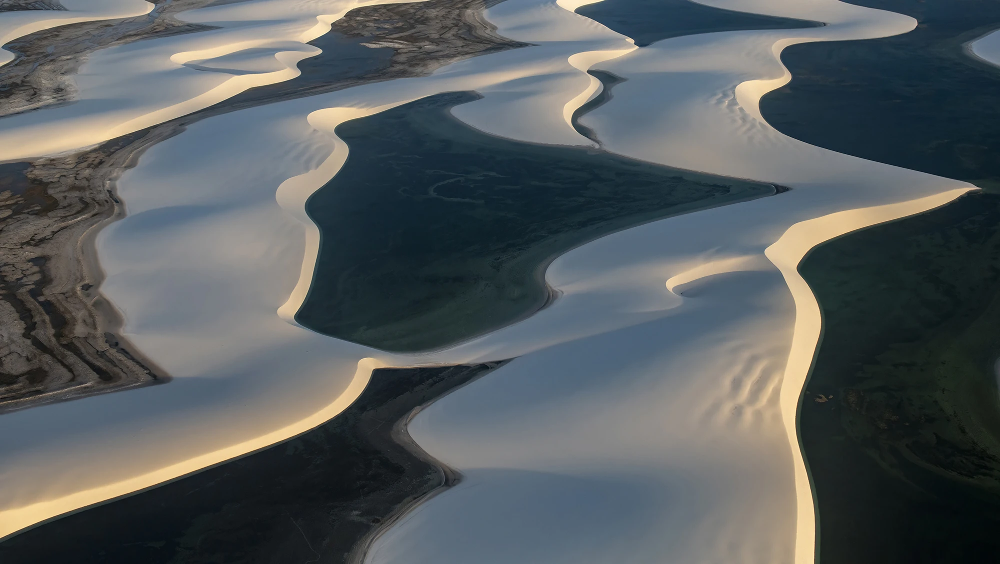 Dunes and water, Brazil – photo by Reiner Boehme