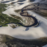 Dunes, river and bushes