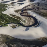 Dunes, river and bushes