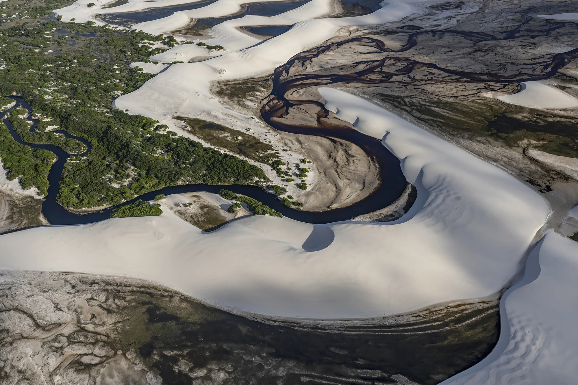 Dunes, river and bushes, Brazil – photo by Reiner Boehme