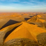 Our favorite dune