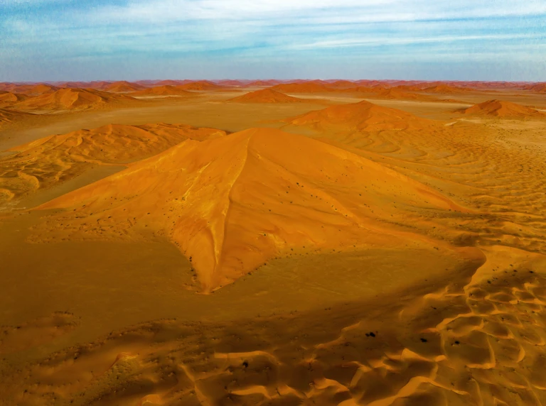 Lonely dune