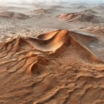 Beauty of the desert