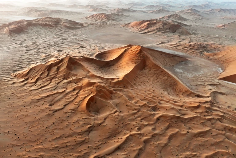 Beauty of the desert