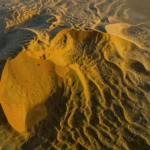 Light on the dune