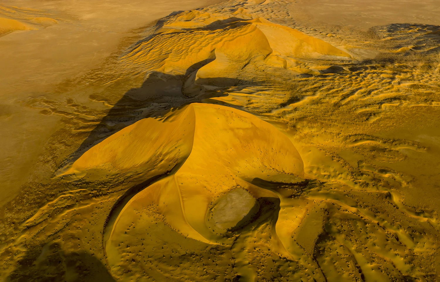Another beauty, Oman – photo by Reiner Boehme