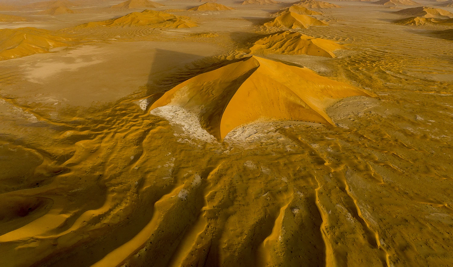 The queen from another angle, Oman – photo by Reiner Boehme