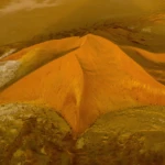 The most beautiful stardune