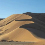 Typical dune