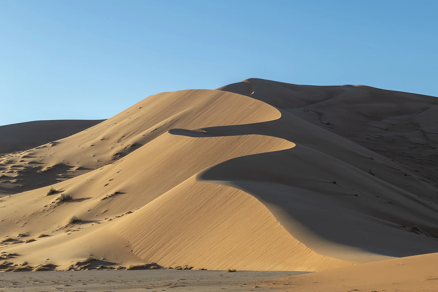 Typical dune, Oman – photo by Reiner Boehme