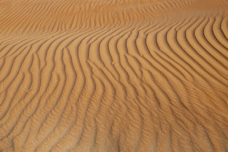 The desert from the ground