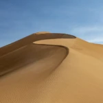 Beautiful curves