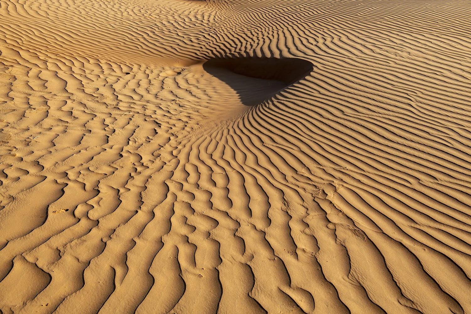 Patterns, Oman – photo by Reiner Boehme
