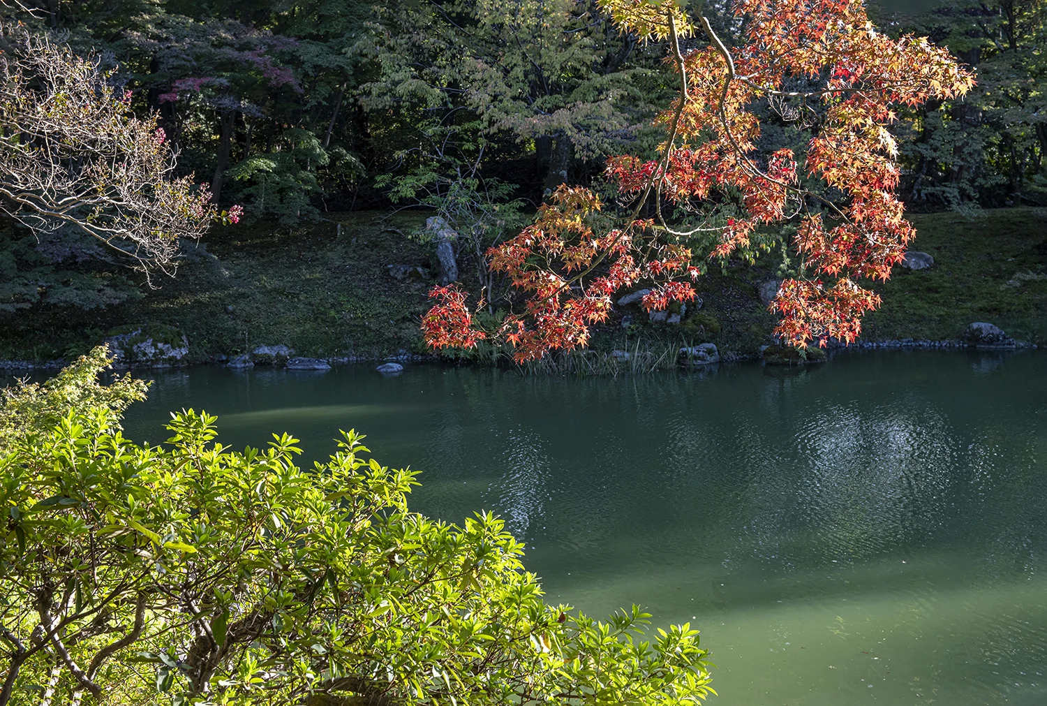The emperor’s garden detail, Japan – photo by Reiner Boehme