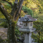 Garden detail