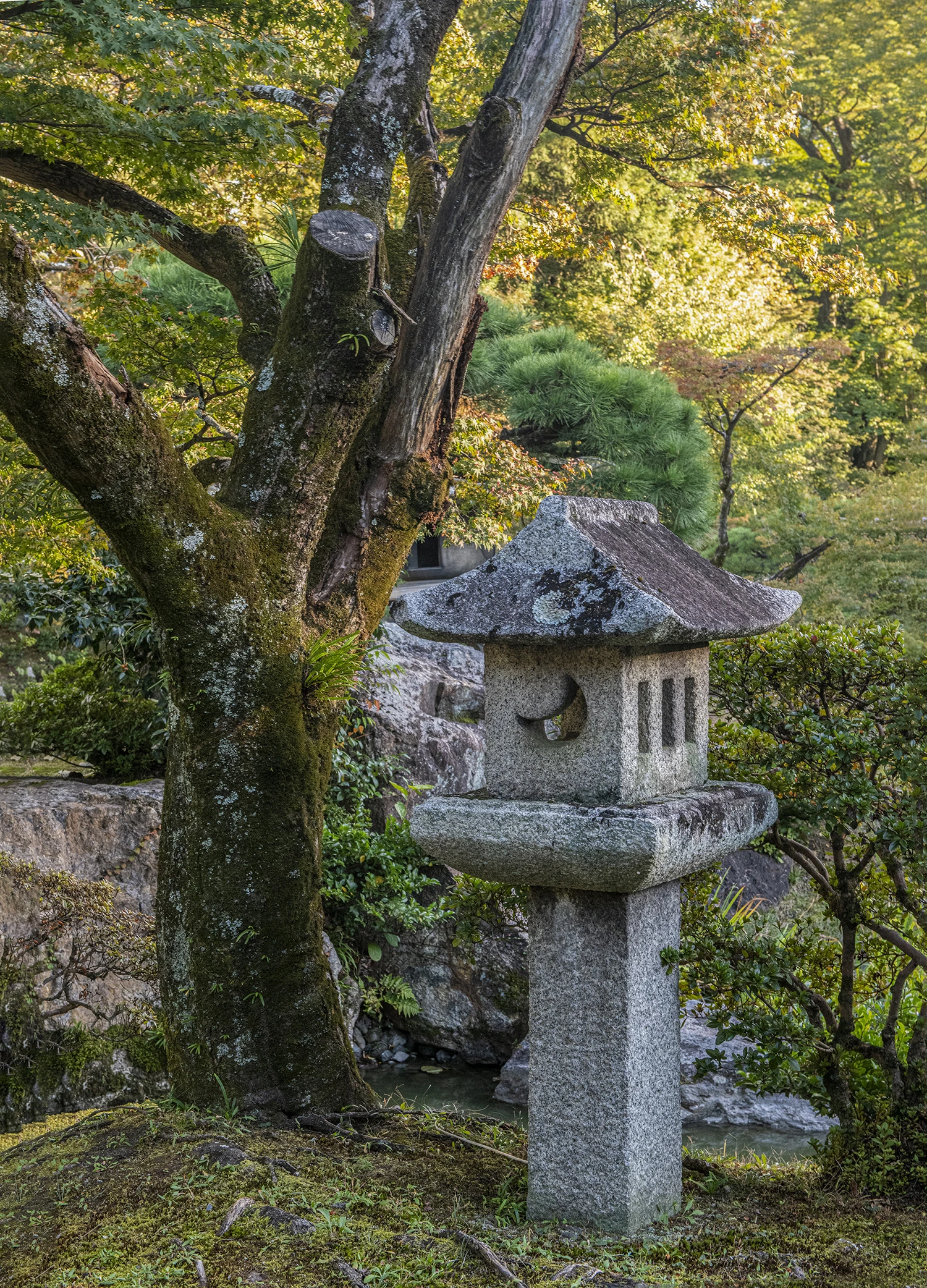 Garden detail, Japan – photo by Reiner Boehme