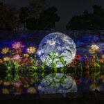 Nijo castle light show