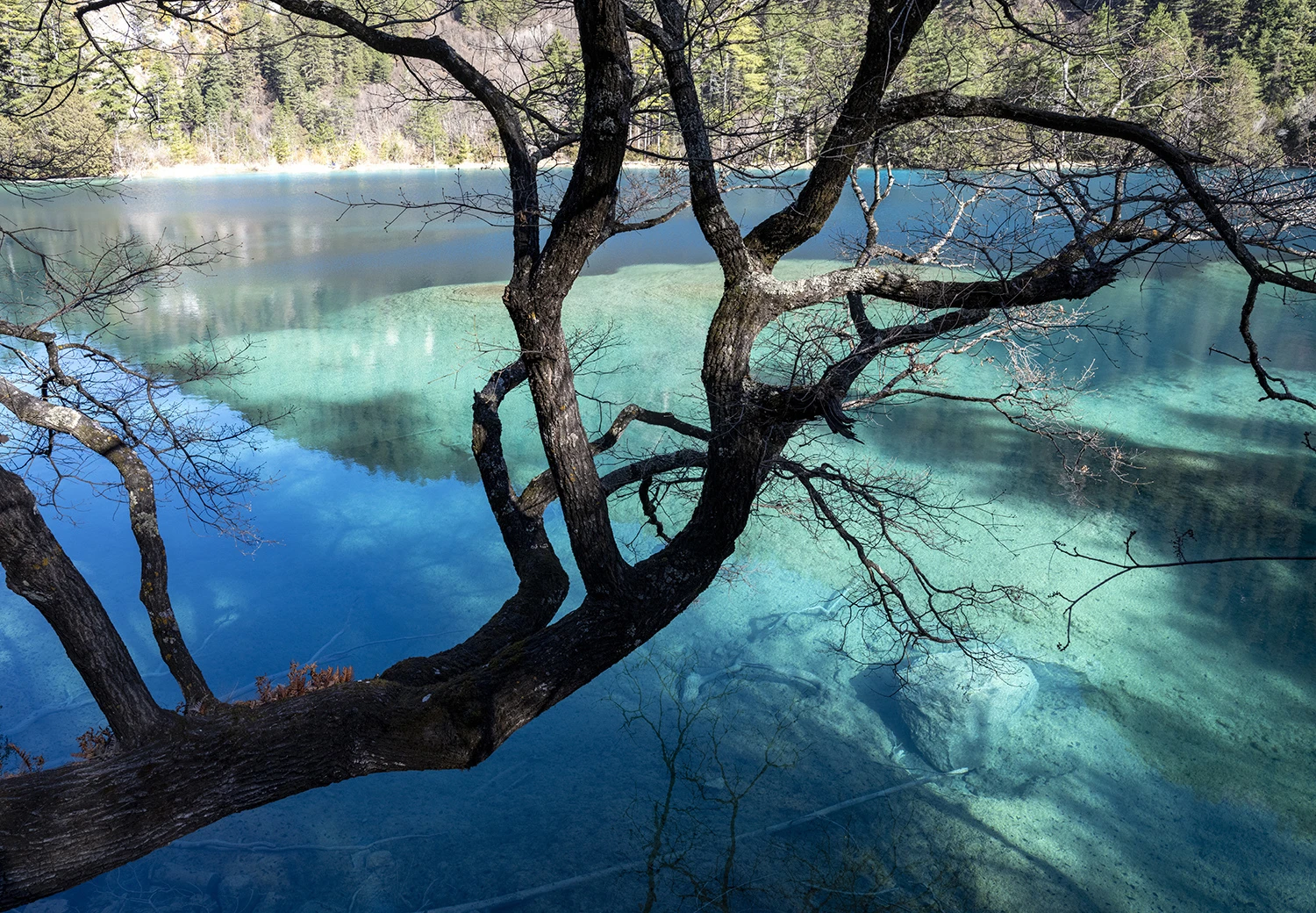 Photospots along the walk, Southwest China – photo by Reiner Boehme