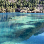 Incredibly beautiful colors