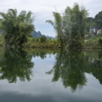 Heishuihe wetlands