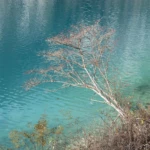 Photospots along the lake
