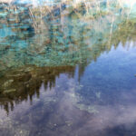 Reflection detail