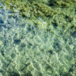 Beauty in the water