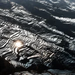 Late afternoon