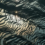 Large rice terraces