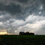 Clouds 2