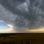 Watching the storm