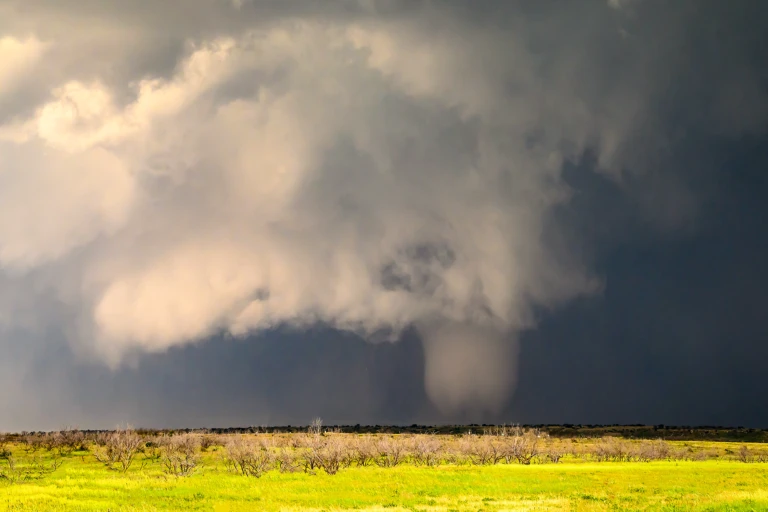 Tornado alley 2024