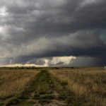 Waiting for the storm to develop