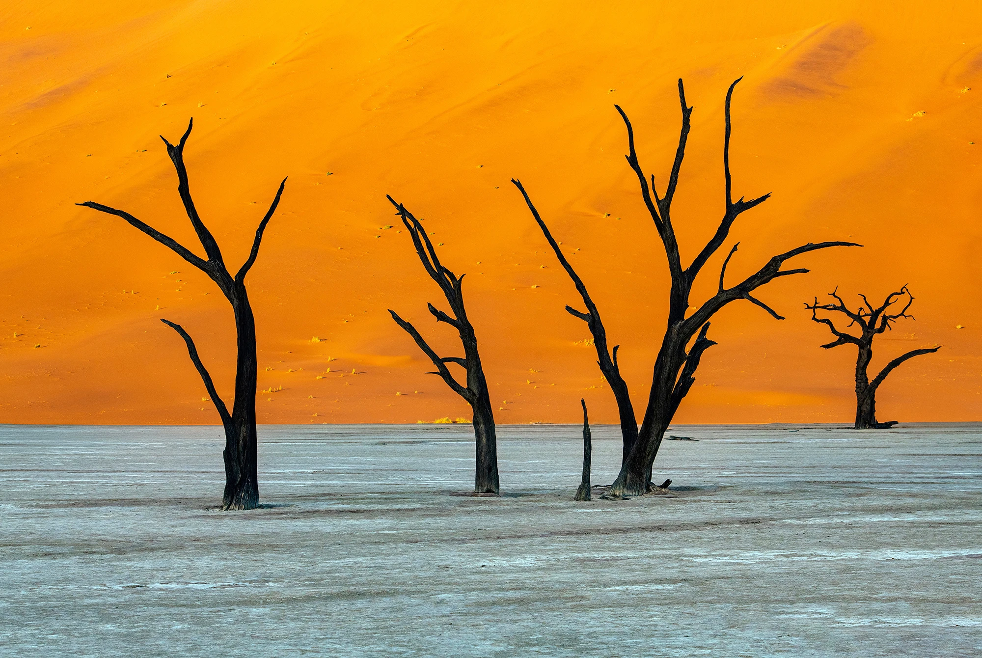 The best moment, Namibia – photo by Reiner Boehme