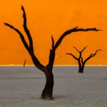 The sun reached the bottom of the dune