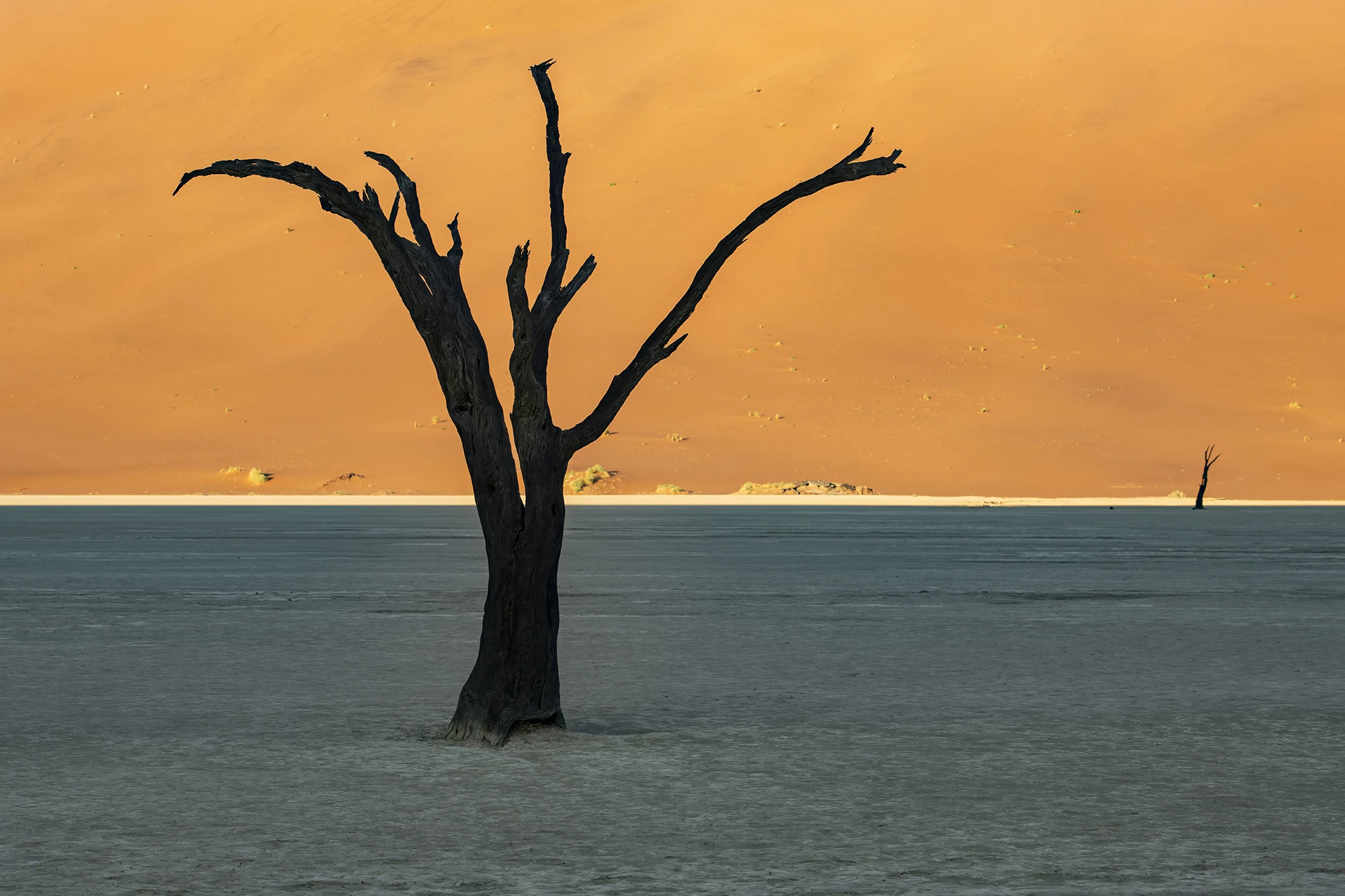 The moment I have been waiting for, Namibia – photo by Reiner Boehme