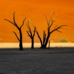 The sun reaches the ground