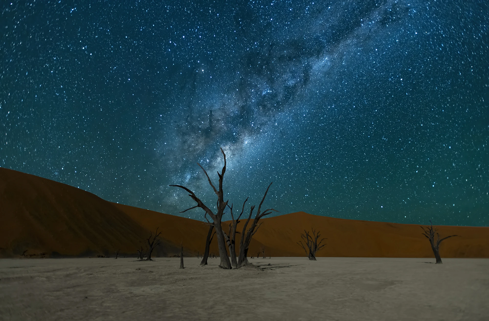 Dead Vlei, Namibia – photo by Reiner Boehme
