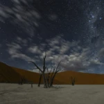 Lonely night