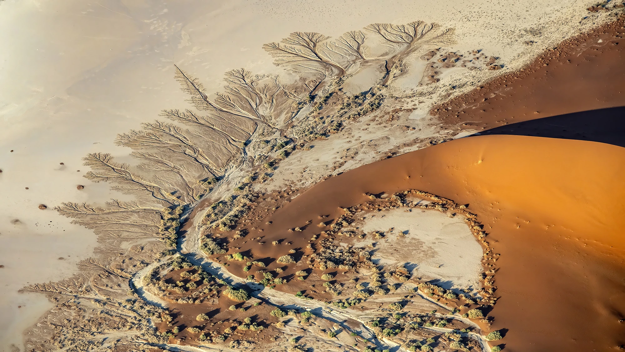 Remarkable pattern, Namibia – photo by Reiner Boehme