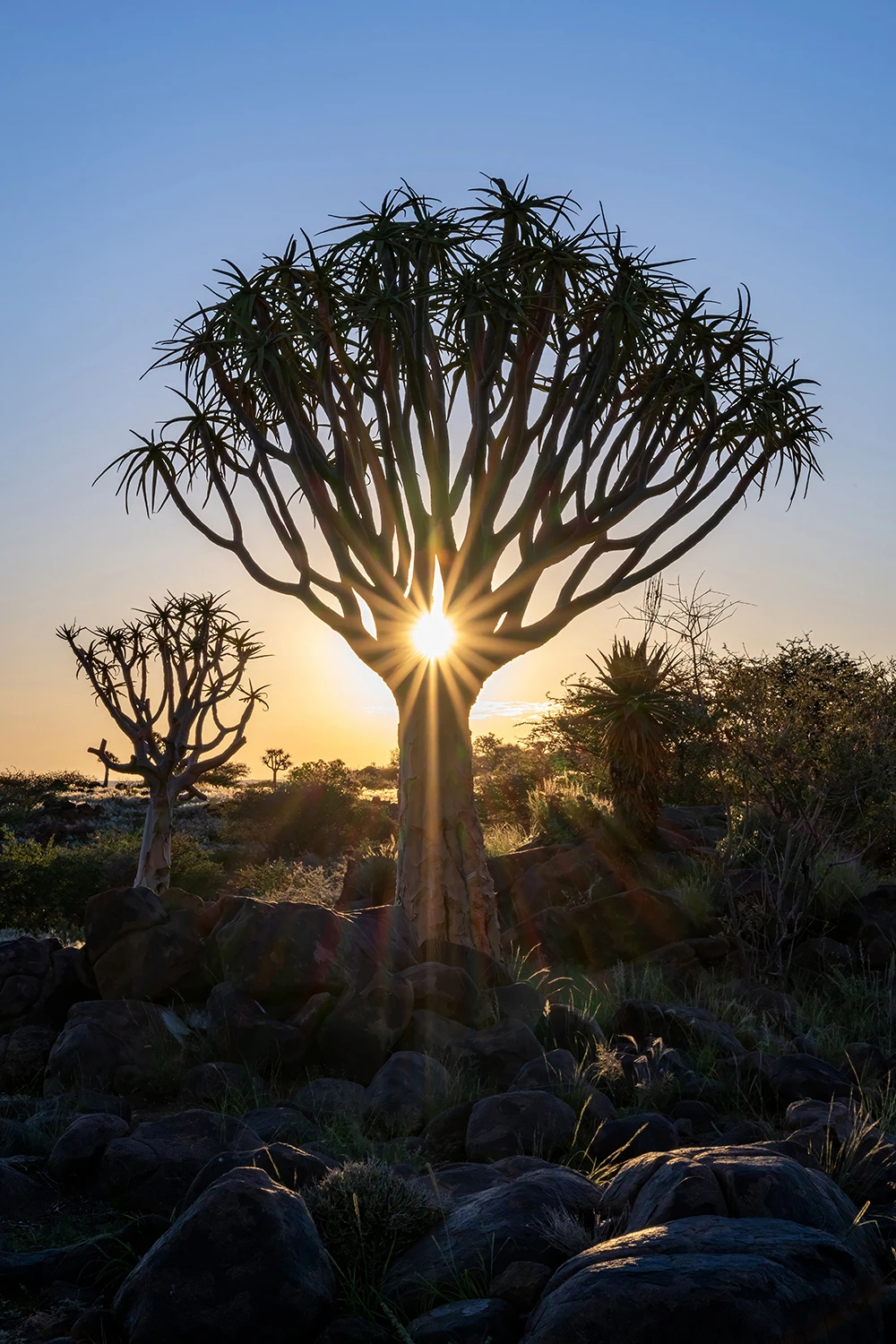 Sunset is setting in, Namibia – photo by Reiner Boehme