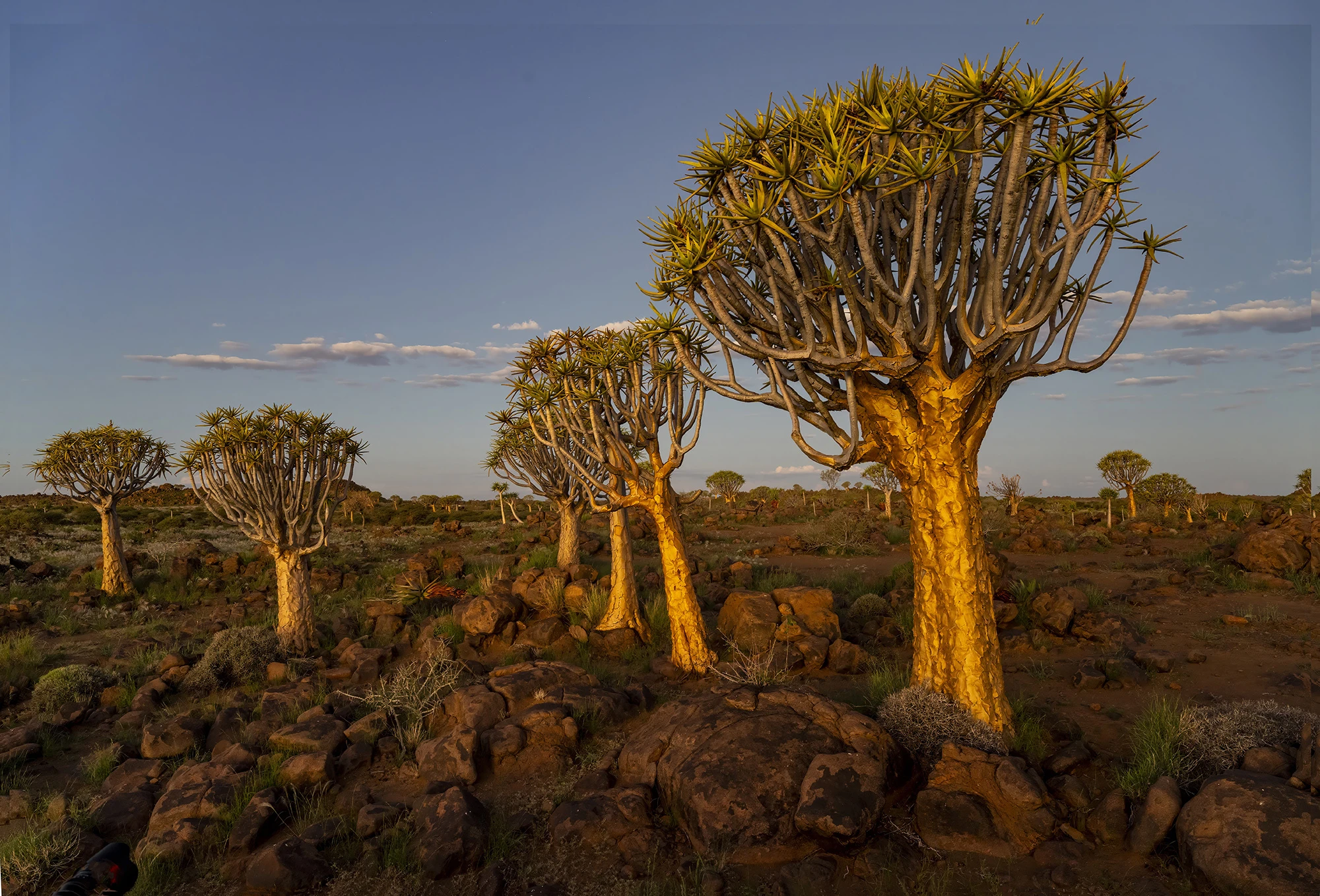 The last rays, Namibia – photo by Reiner Boehme