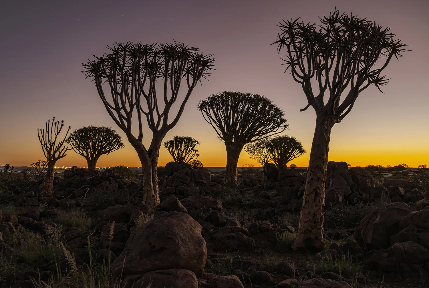 After sunset, Namibia – photo by Reiner Boehme