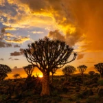 Splendid sunset
