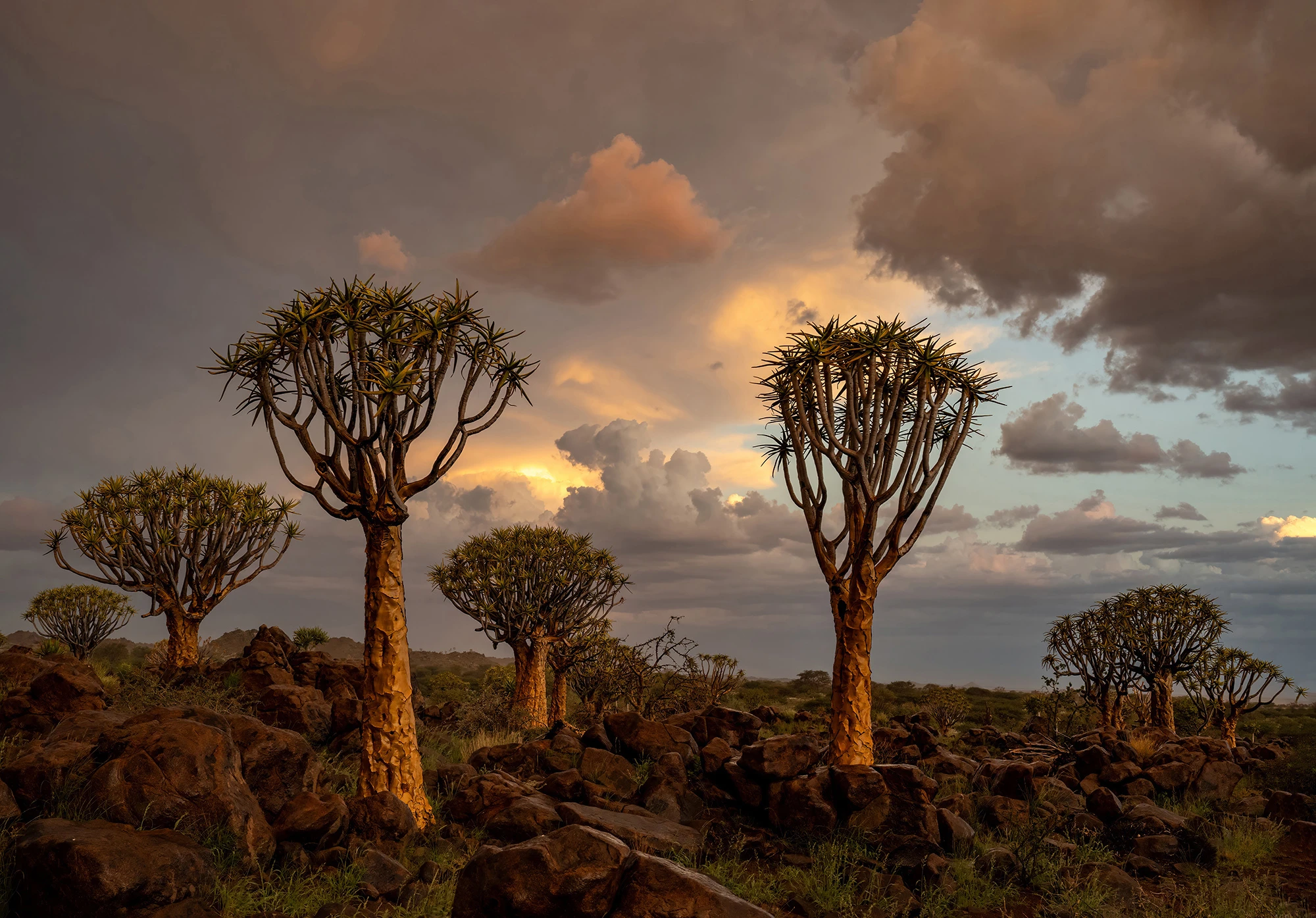 The end of the raining season brings us clouds, Namibia – photo by Reiner Boehme