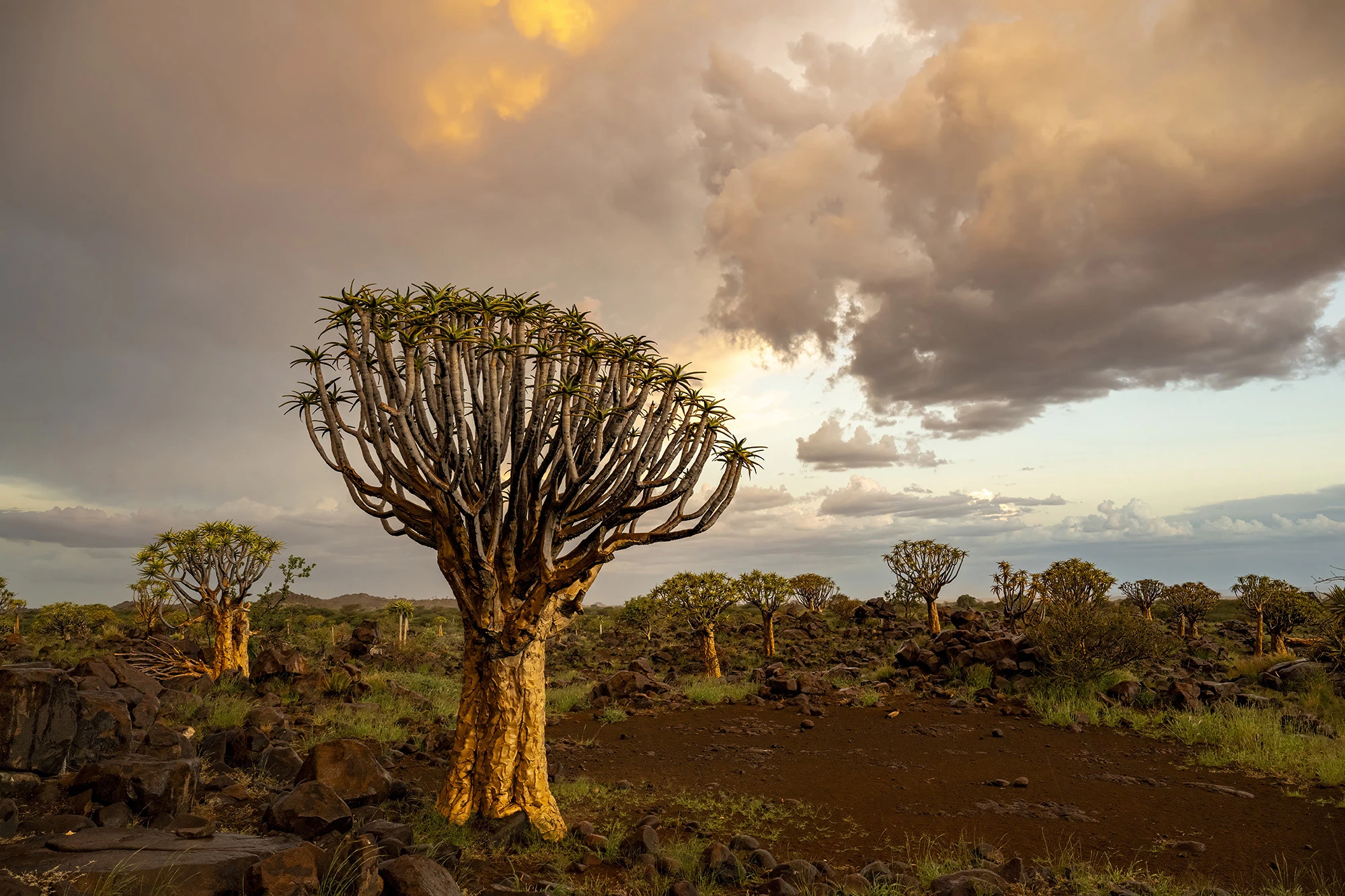 Sunset, Namibia – photo by Reiner Boehme