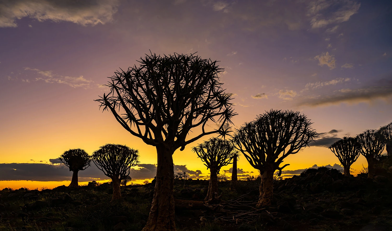 Evening mood, Namibia – photo by Reiner Boehme