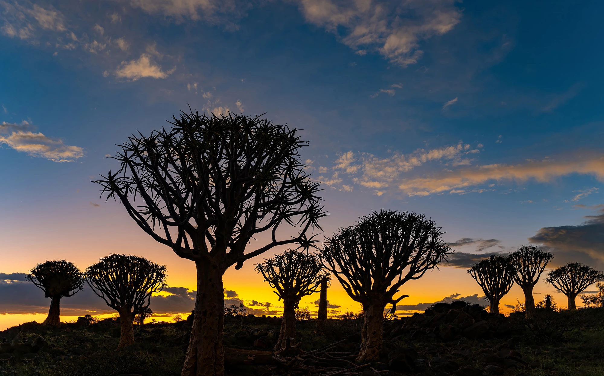Blue hour, Namibia – photo by Reiner Boehme